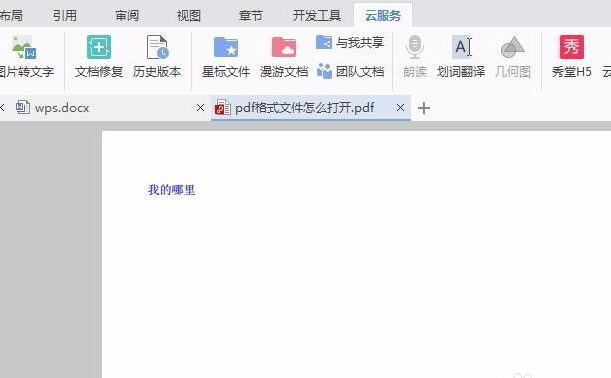 打开pdf文件